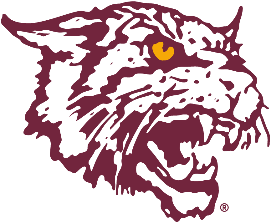 Bethune-Cookman Wildcats 2000-2015 Alternate Logo 01 vinyl decal